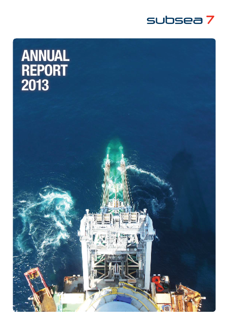 2013 Annual Report